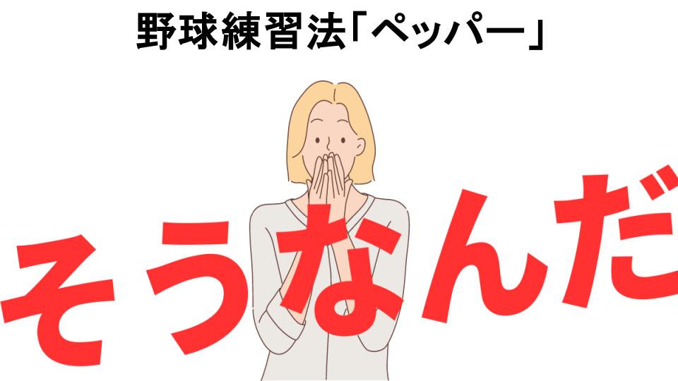 意味ないと思う人におすすめ！野球練習法「ペッパー」の代わり